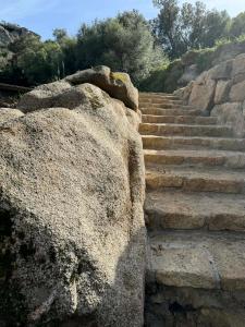 Lodges sous les oliviers