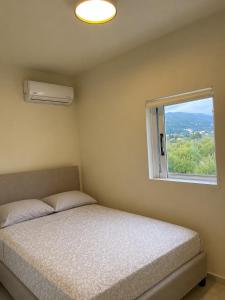 White Lotus Loft & Apartments