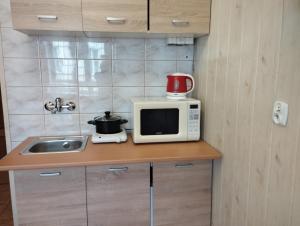 Apartment for guests