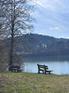 RUBIESZCZA domki z widokiem na jezioro, Bieszczady