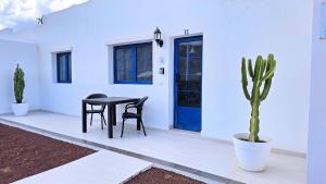 La Graciosa Camelia Beach Vistas Mar