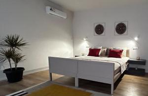 Relax in Padua, Near the Arena and the Canottieri Club