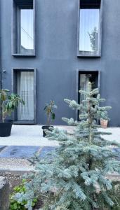 Relax in Padua, Near the Arena and the Canottieri Club