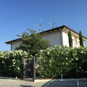 Double Room with Private Bathroom room in Bed & Breakfast Case Osti