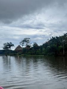 Cozy Tiny Home Gatun lake