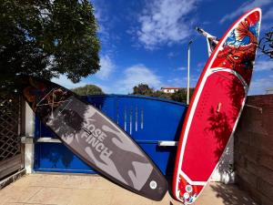 B&B Ginepro blu img45