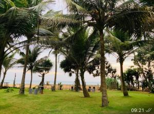 Neptune Blue Ocean Resort