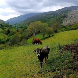 El Rincón de la Naturaleza