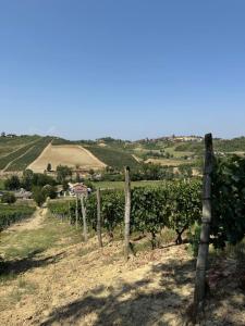 Sogno La Vigna - Adults Only