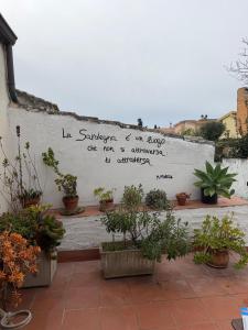 Sa Domu Nostra Holiday img20