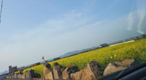 South Sagye Jeju