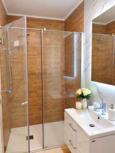 Emerald Apartment On Arena Oradea
