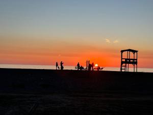 Sea View Wooden Houses