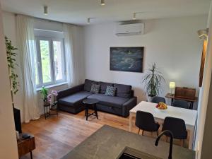 Apartment Lenka