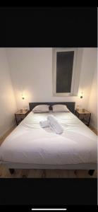 Appartement au cœur de Oloron-Sainte-Marie