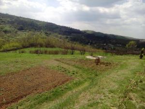 Vila Impresija, Fruška gora