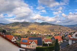 Vue panoramique sur Munster - terrasse forêt