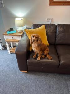 Cozy & Self Contained Garden Bungalow