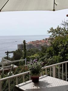 NARANČA apartment OLD CITY view