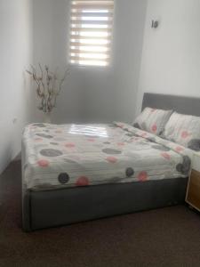 Petar Apartment