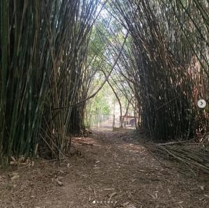 Pousada Prainha
