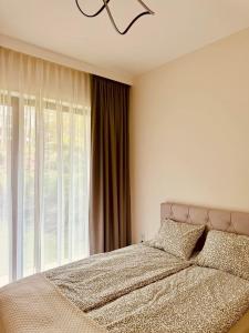 Holiday by Shellter Rogowo 7