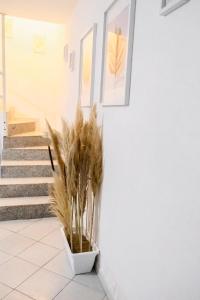 ALMA'RE Le Trame di KaSa Experience img15