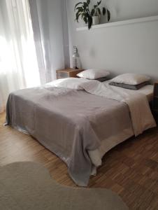 MIKO apartament