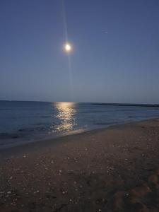 Le Cap dAgde appartement