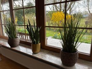 Ferienwohnung Sommer mit großer Terrasse am Stadtrand von Fulda
