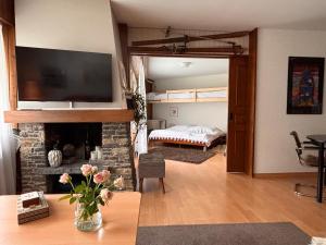 Charmant appartement hyper central, idéal pour couple ou petite famille, parking couvert