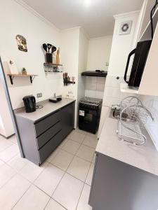 Depto Tematico DeLorean en pleno centro de Rancagua