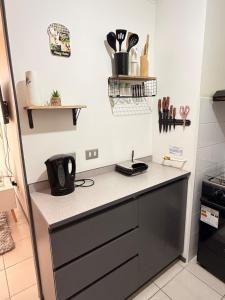 Depto Tematico DeLorean en pleno centro de Rancagua