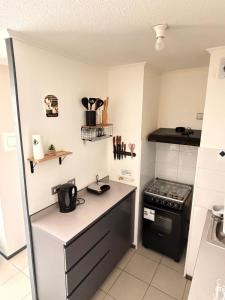 Depto Tematico DeLorean en pleno centro de Rancagua