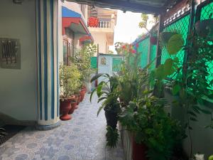 Pahuna Homestay