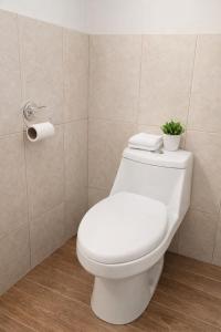 Los Cipreses Eco Hotel