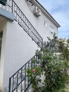 Apartment White Rose