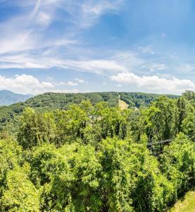 Fresh Country Cool - Studio with Loft for 4, Deck, Wifi, Pools
