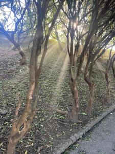 Porto Countryside House