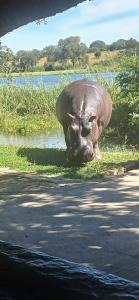 Camp Hogo Kavango