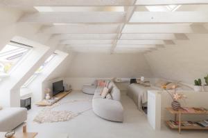 CODAK suite