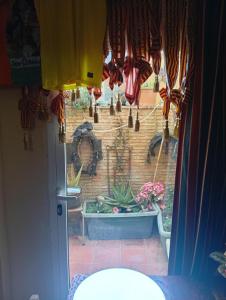 Casa PAZ y AMOR