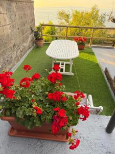 Villa Ice Sorrento