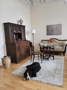 Wohnung am Pfaffenteich