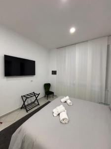 Olimpico Vatican Rooms