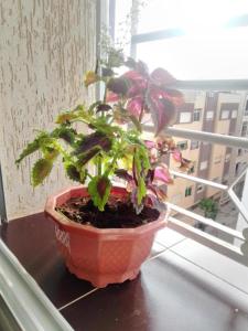 Elegant 2 Bed Apartment in Meknes Kamilia Neighbourhood Lift & Parking Included