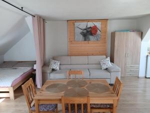 Agroturystyka pod kasztanem