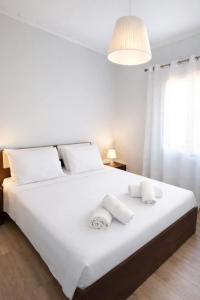 Perioptron Guesthouse Ithaca