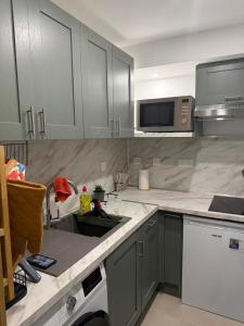Nice studio with 1 bedroom, Gambetta, Russian Church