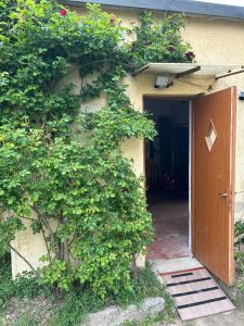 Alle Pratoline Casa vacanze spaziosa vicino Trieste e mare con deposito bici e moto coperto